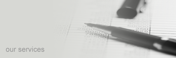 DLP Business - Provides full financial management of your business